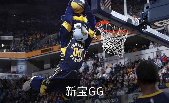 关于新宝GG
